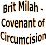 Brit Milah -
Covenant of
Circumcision
