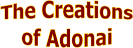 The Creations
of Adonai