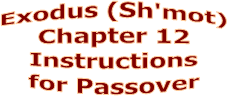 Exodus (Sh'mot)
Chapter 12
Instructions
for Passover