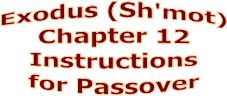 Exodus Sh Mot Chapter 12 Instructions For Passover